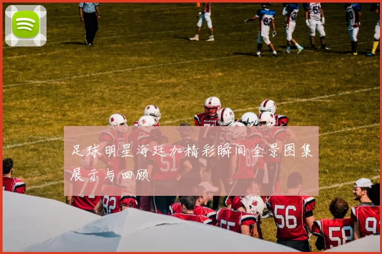 足球明星海廷加精彩瞬间全景图集展示与回顾