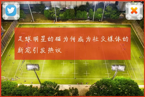 足球明星的猫为何成为社交媒体的新宠引发热议